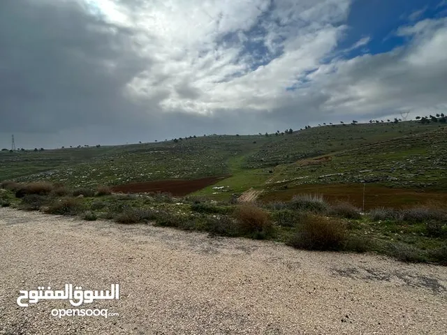 Residential Land for Sale in Zarqa Other
