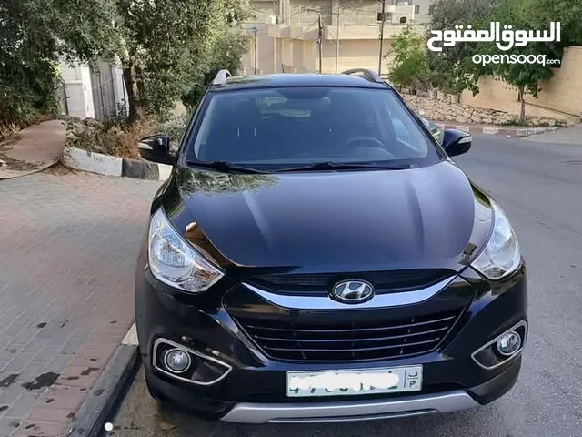 أبو نزار الرجبي
