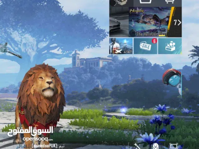 Pubg Accounts and Characters for Sale in Benghazi