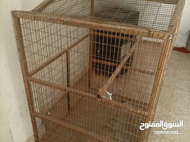 قفص كاسكو لون ذهبي طول 100cm بعرض 80cm متين سكان سحاب للجادين فقط