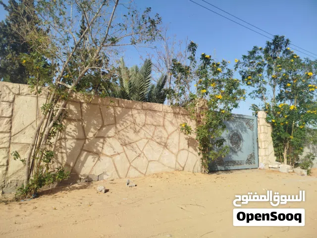370 متر للبيع كاش أو شيك أو حوالة