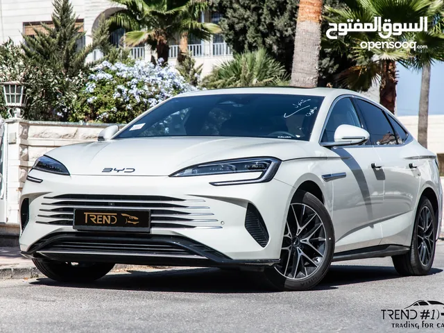 2025, بي واي دي, سيل