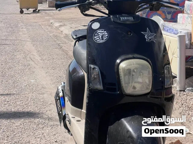 2010 Yamaha Other