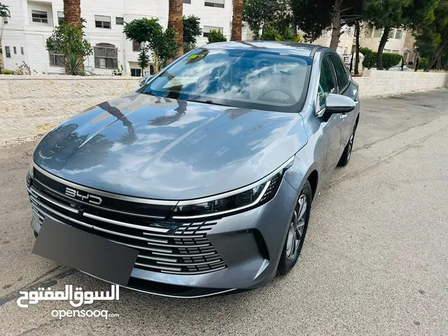 2025 بي واي دي ديستروير