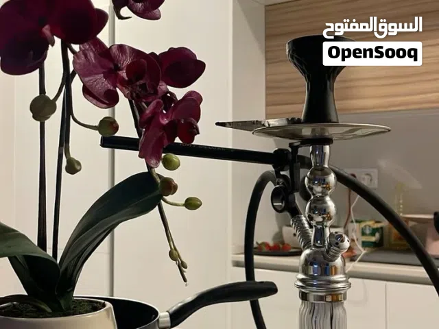 Furnished Monthly in Amman 8th Circle