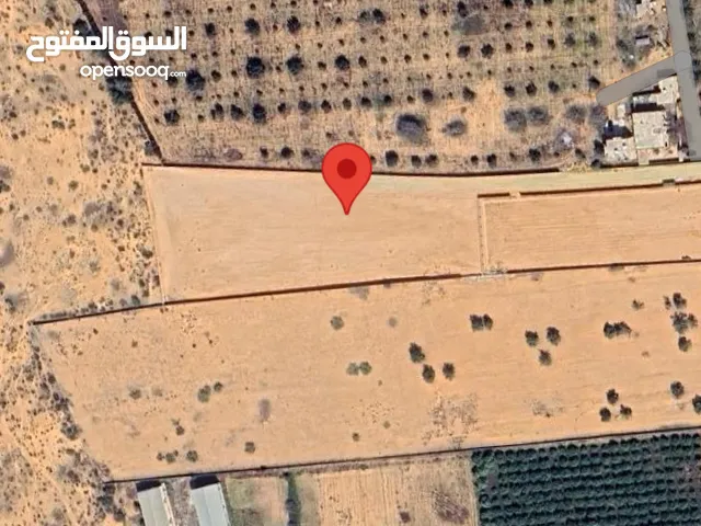 Residential Land for Sale in Tripoli Qasr Bin Ghashir