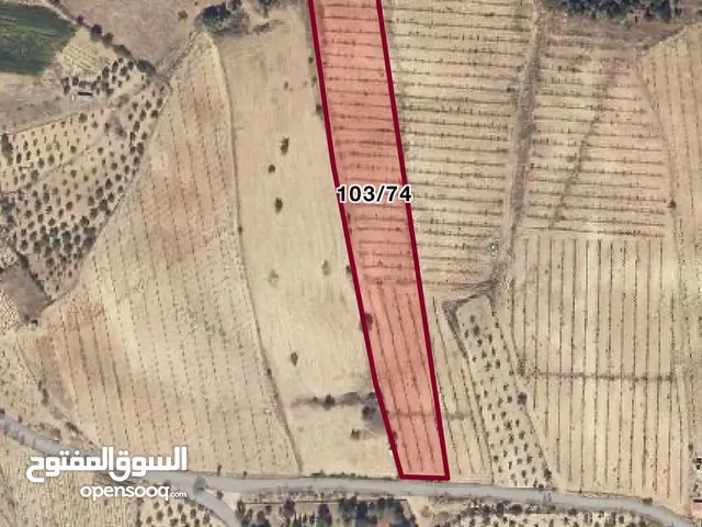 أرض زراعيه إستثماريه في تركيا مانيسا Farm land in turkey manisa for sale with yearly income