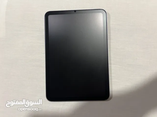 iPad mini 6 64G