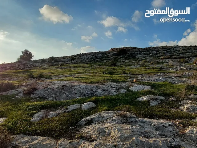 Mixed Use Land for Sale in Hebron Dura