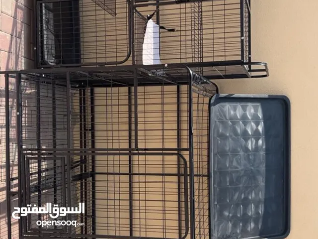 قفصين للبيع حاله ممتازه