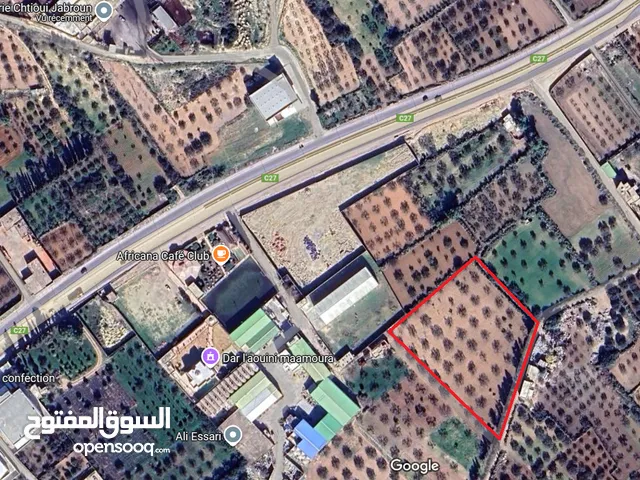 Mixed Use Land for Sale in Nabeul Other