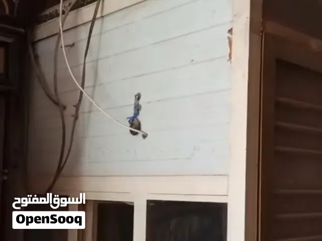 كرفان سندويج قياس العرض متر وعشرين والطول مترين و40سم