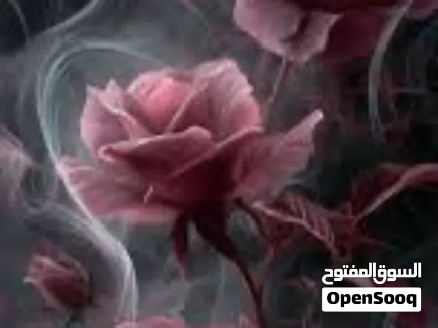 70 m2 2 Bedrooms Apartments for Rent in Farwaniya Farwaniya