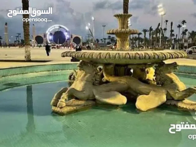 Semi Furnished Monthly in Tripoli Shawqy St