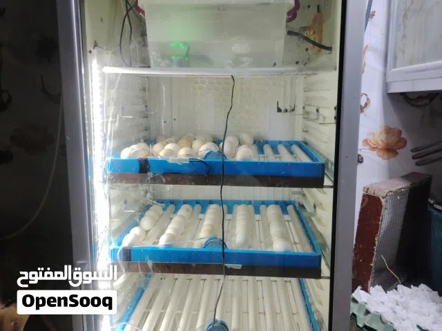 متاح فقاسه فول اوتوماتيك 210 بيضه ستعمال شهرين ستفسار وات ساب
