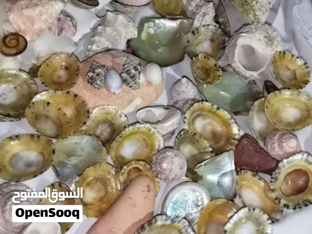 جواهر البحر الاحمر
