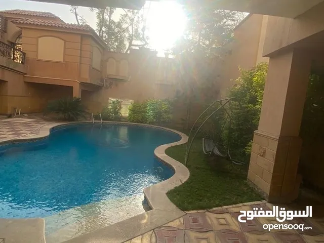 معرض سيارات علي شارع الثروة للايجار