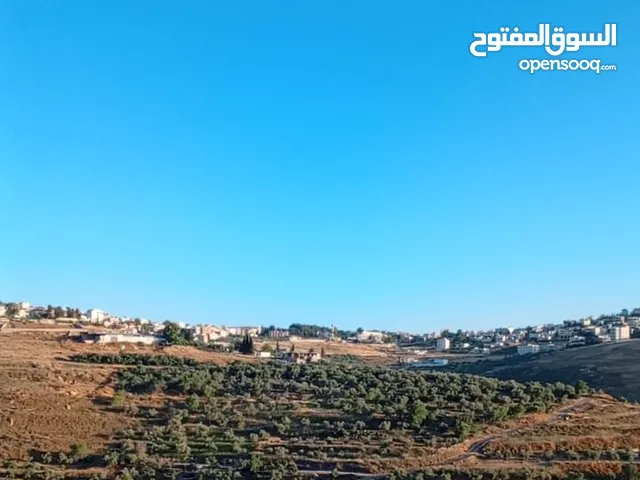 Mixed Use Land for Sale in Nablus Tal Village