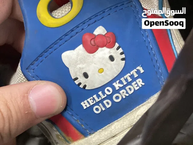 Y2K Vintage Hello Kitty Old Order Skate shoes with a beautiful large tongue