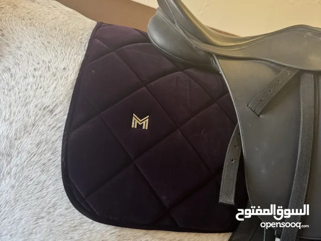 خيل عربي فرنسي