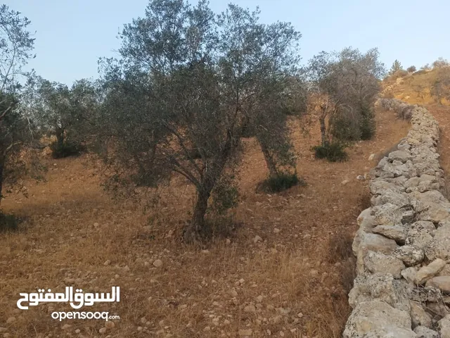 مكتب  زمزم للتسويق العقاري