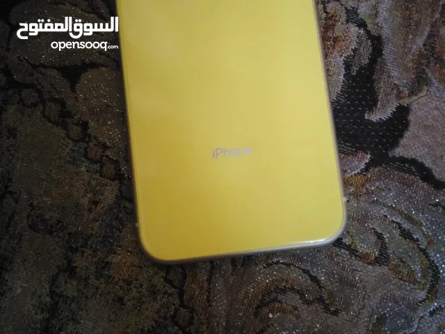 ‏IPhone XR