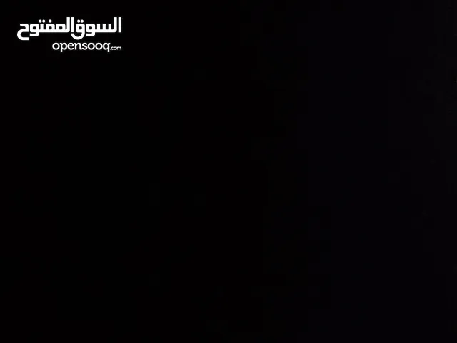 ساندرة عبد المجيد يوسف ابو زنيد