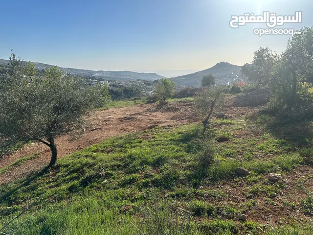كاش/أقساط  (سكن ج) منطقه(عين جنا/ عجلون) وسط البلد،مرتفعه واطلاله جميلة على القلعة واصل جميع الخدمات