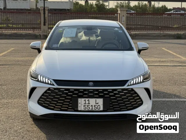 2025 بي واي دي كين