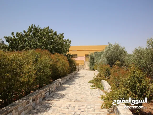 3 Bedrooms Farms for Sale in Madaba Al-Faisaliyyah