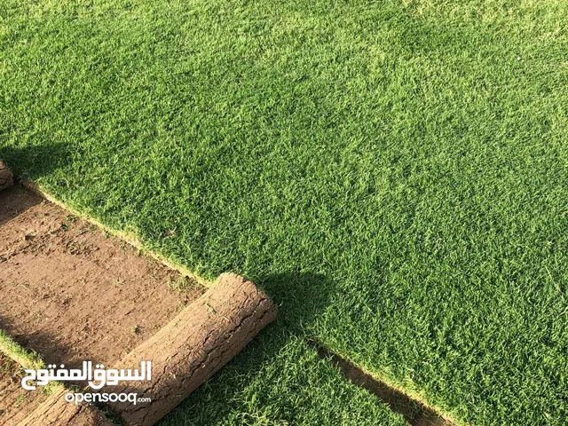 ثيل طبيعي لتجهيز كافة الحدائق