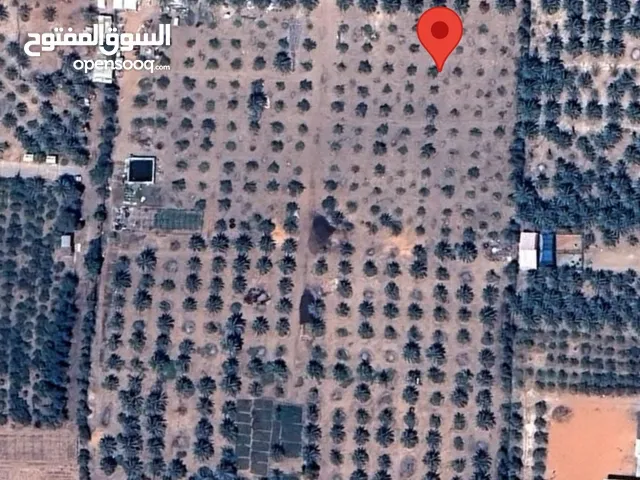 Farm Land for Sale in Sharjah Other