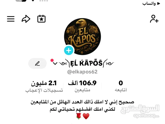 Social Media Accounts and Characters for Sale in Al Ain