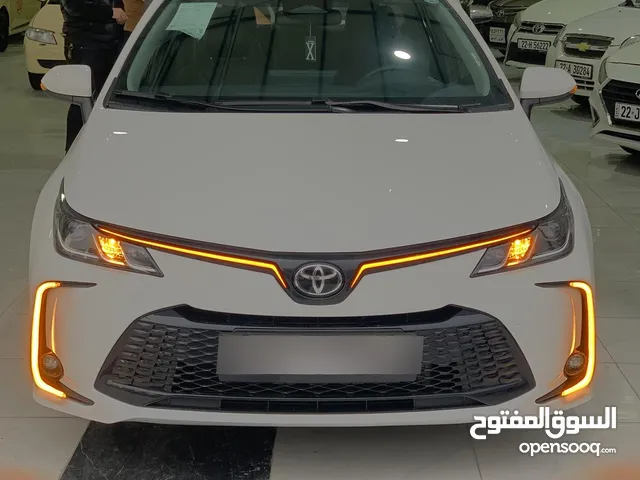الاسم علي باسم