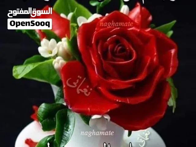 بدي اشتعل مساعد بليط