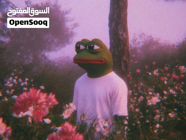 Netflix Accounts and Characters for Sale in Abu Dhabi