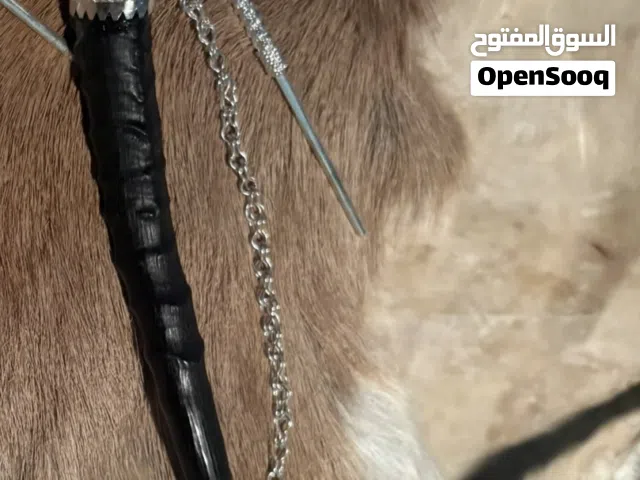 مكحل رجالي بقرن الغزال فضه خالصه طبيعيه