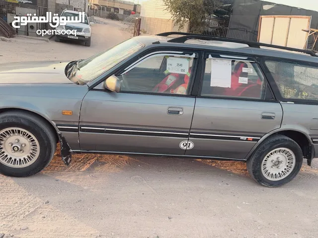 مازده 1991