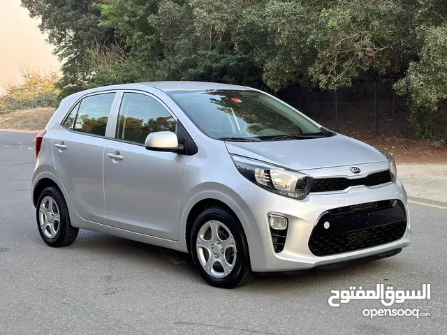 كيا بيكانتو. موديل 2019 صبغ وكاله بدون حوادث خليجي