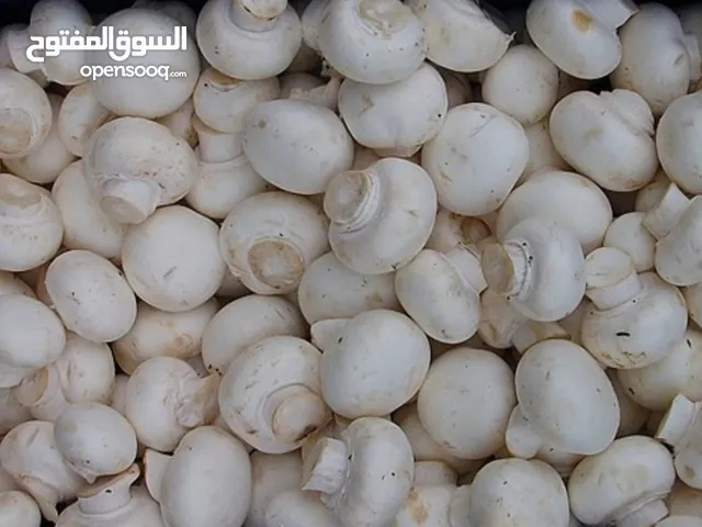 افطرفطر درجة أولى