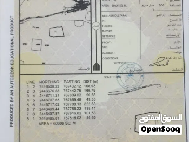 Farm Land for Sale in Al Sharqiya Ja'alan Bani Bu Ali