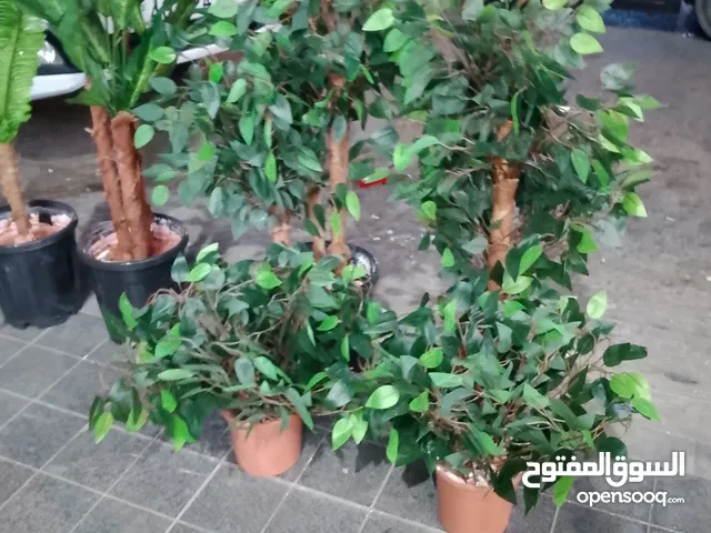 جميع انواع شجر صناعي
