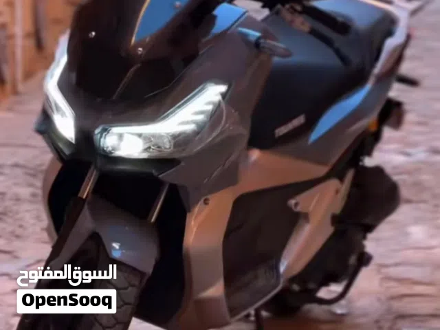 2024 Tiger Other