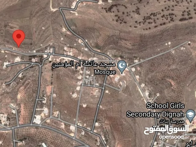 Residential Land for Sale in Mafraq Al-Dajaniya