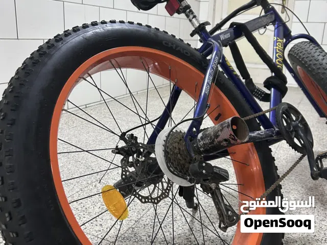 Fat bike cycle