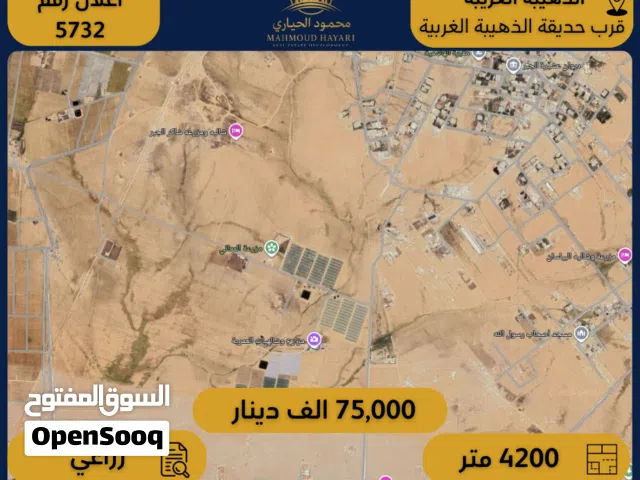 Farm Land for Sale in Amman Al-Dhuheibah Al-Gharbiyah
