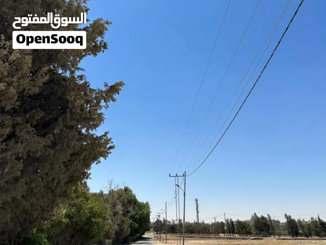 Residential Land for Sale in Amman Al Jizah