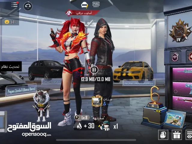 Pubg Accounts and Characters for Sale in Zarqa