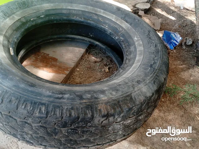 كوشوكه باص 14