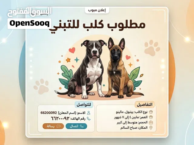 مطلوب للتبني
